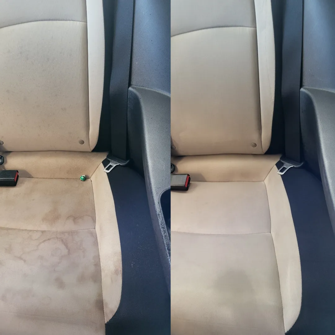 Professional upholstery cleaning